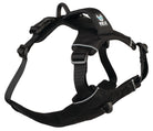 Rex Specs Trailhead Harness Hundegeschirr